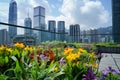 Rooftop Garden. Lush rooftop garden oasis with vibrant greenery, providing urban dwellers with a serene and sustainable retreat