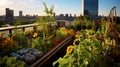 Rooftop garden in a modern city, natural fruits and vegetables