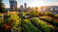 Rooftop garden in a modern city, natural fruits and vegetables