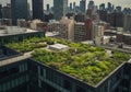 Rooftop garden in an urban setting with dense green vegetation, including shrubs and Royalty Free Stock Photo