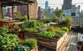 Rooftop gardening, Rooftop vegetable garden, Growing vegetables on the rooftop of the building