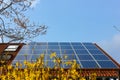 rooftop with solar panels and yellow flowers