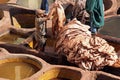 Rooftop tannery in Moroccan city of Fes