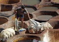 Rooftop tannery in Moroccan city of Fes Royalty Free Stock Photo