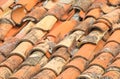 Rooftop tiles in Dubrovnik showing age and damage