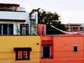 Rooftop view of San miguel allende skyline orange and yellow house with trees