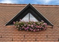 Rooftop window detail and flowers, Szentendre, Hungary Royalty Free Stock Photo