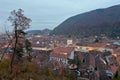 Rooftops in Brasov, Transylvania Royalty Free Stock Photo