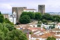 Rooftops and castle, Obidos (Portugal) Royalty Free Stock Photo