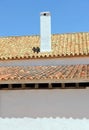 Rooftops and chimney of a typical Andalusian cortijo farmhouse located in the fertile farmlands near the city of Seville