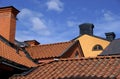 Rooftops with chimneys