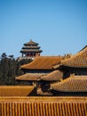 Rooftops at Forbidden City Beijing China