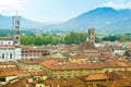 Rooftops of Lucca Royalty Free Stock Photo
