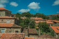 Rooftops of stone old houses with leafy treetops Royalty Free Stock Photo