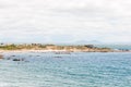 Rooi Els with Cape Point in the distance Royalty Free Stock Photo