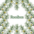 Rooibos in color, border 2