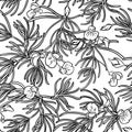 Rooibos seamless pattern Royalty Free Stock Photo