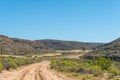 Rooibos tea fields on the Rooibos Heritage Route