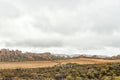 Rooibos tea plantations near Wupperthal in the Cederberg Mountains