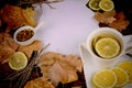 Rooibos tea still life