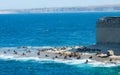 Rookeries of sea lions