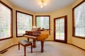 Room with antique piano