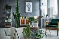 Room with cacti decorations