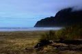 Fog on Empty Beach Sunlit Grass Royalty Free Stock Photo