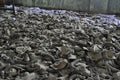 Room of dusty gasmasks Pripyat Chernobyl Ukraine Royalty Free Stock Photo