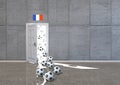 Room Footballs France