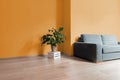 Room interior with bright wooden floor with orange wall, modern