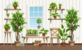 Room interior with lots of plants. Vector illustration