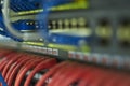 Room link, networked cables, category 6, switch and routers in the communications room Royalty Free Stock Photo