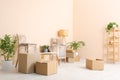 Room with moving boxes, furniture and houseplants Royalty Free Stock Photo