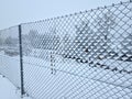room paint rollers are fixed on a snowy fence. frozen wire mesh of the logistics