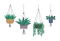 Room Plants of Greenhouse Hanging Pots Isolated