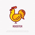 Roomster thin line icon. Modern vector for Chinese horoscope Royalty Free Stock Photo