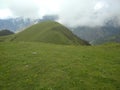 Himalyan Meadows