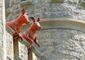 Roos guarding the tower unseen reality