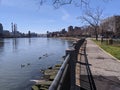 Roosevelt Island during Covid 19