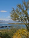 Roosevelt Lake with Greenery and Marina Royalty Free Stock Photo