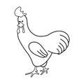 rooster. beautiful chicken line art vector. Vector illustration. Black and White, art