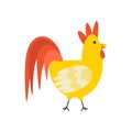 Rooster, bird. Ukrainian symbols
