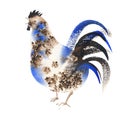 Rooster blue brown watercolor