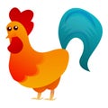 Rooster blue tail icon, cartoon style