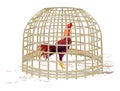 Rooster in cage Royalty Free Stock Photo