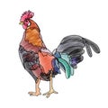 Rooster : Calendar 2017 Year Chinese Zodiac Sign Royalty Free Stock Photo