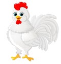 Rooster cartoon white vector illustration Royalty Free Stock Photo