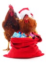 Rooster and chicken in a Christmas hat with a bag with gifts