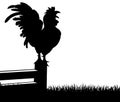 Rooster Chicken Crowing Silhouette Illustration